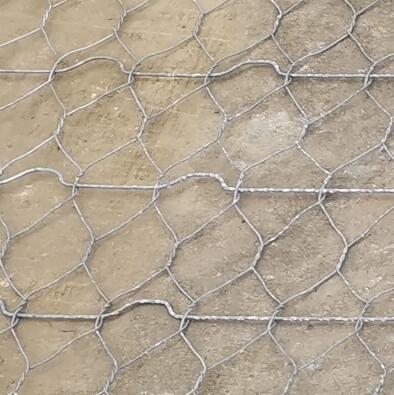 ������·��ӽ�W(w��ng)��(y��u)��(sh��)