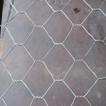 䓽z�W(w��ng)�o(h��)�|