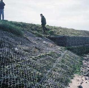 ���Z�o�|15531868633