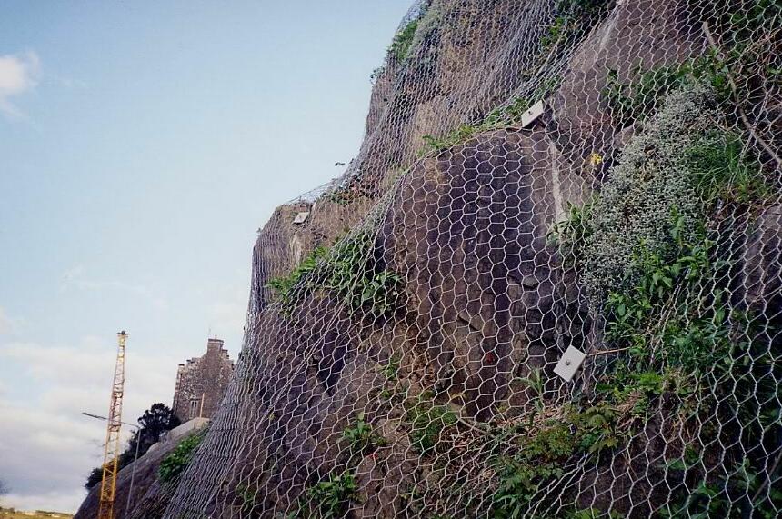 ߅�·��o�W(w��ng)Ҏ(gu��)��