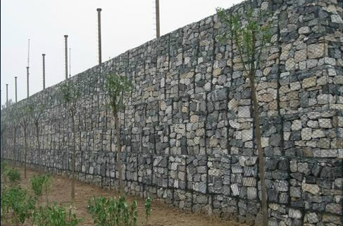 ���B(t��i)���e����