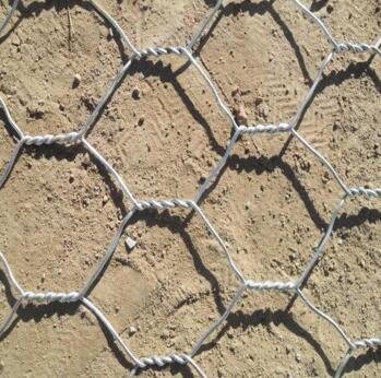 ��g���B(t��i)��W(w��ng)�|