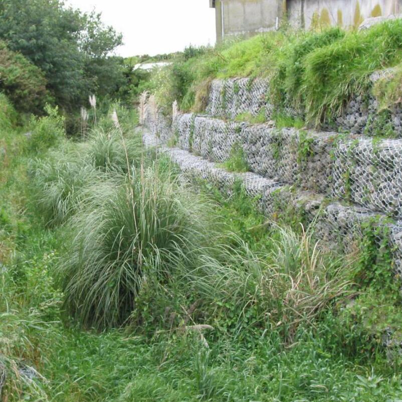 ���B(t��i)���eʯ�\