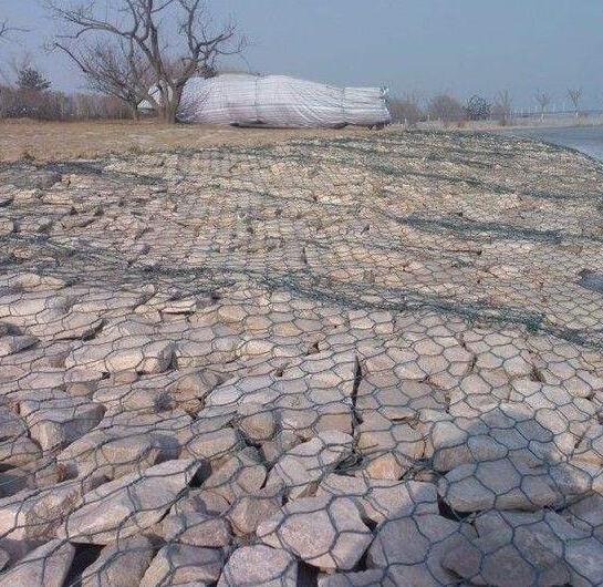 ʯ�\�W��S��15531868633