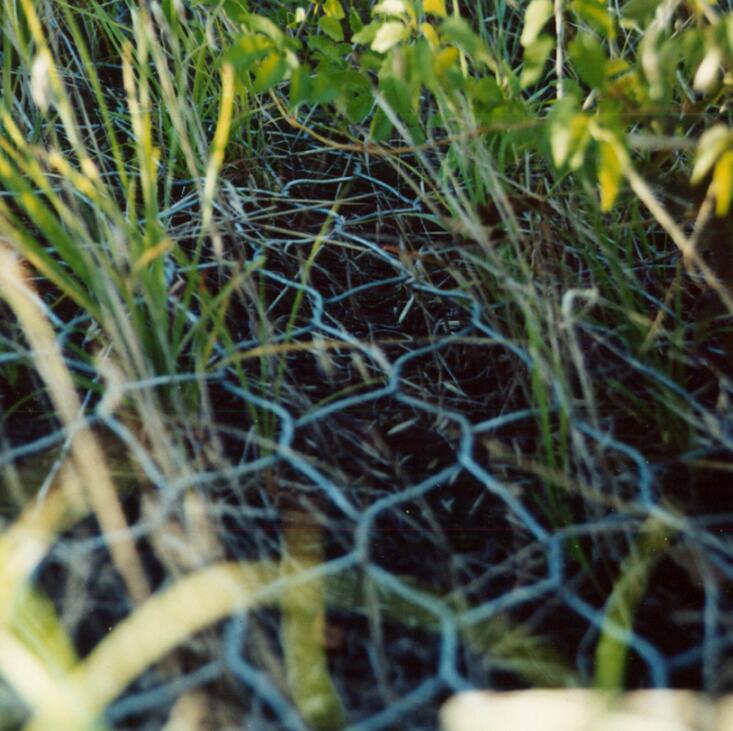 Ϳ��peʯ�\�W(w��ng)��