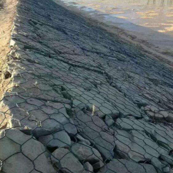 �Q�����ǾW(w��ng)15531868633