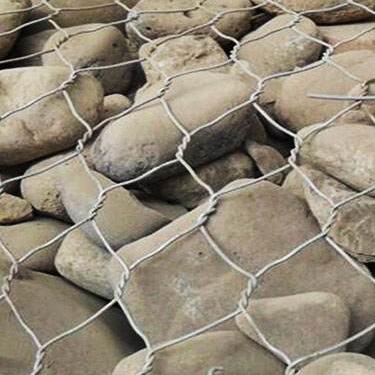 ʯ�\���e�W(w��ng)