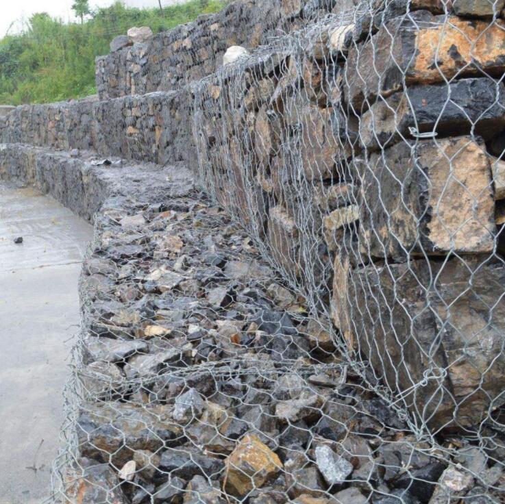 䓽z�W(w��ng)�\