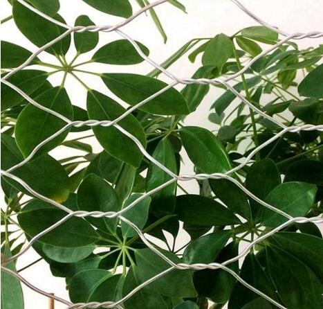 ���B(t��i)��W(w��ng)ʯ�\15531868633