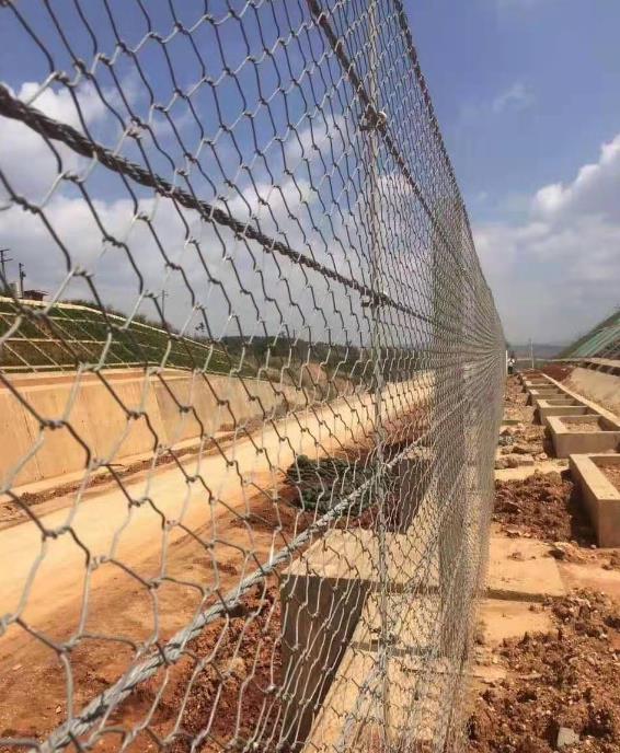 ʯ�\�W(w��ng)�G��15531868633