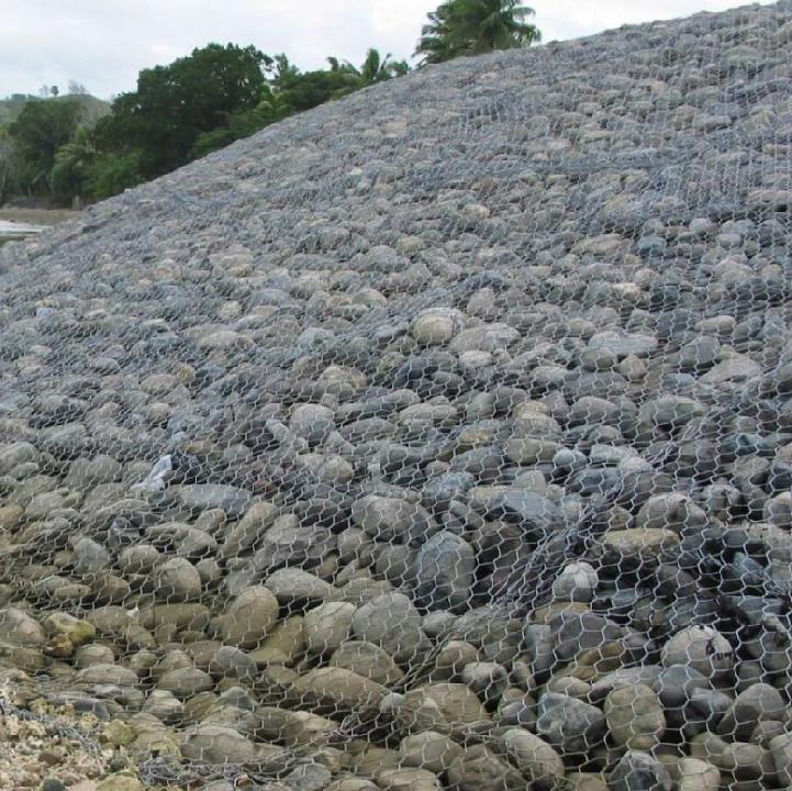 ���B(t��i)�W(w��ng)���o(h��)��15531868633