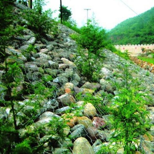 ���B(t��i)ʯ�\�W(w��ng)