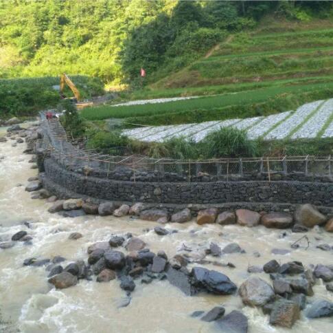 �e��\�W(w��ng)