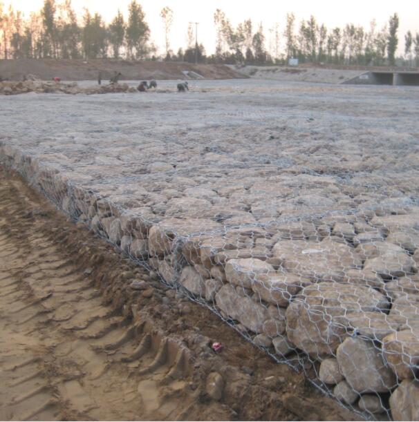 �o(h��)���̞I�\