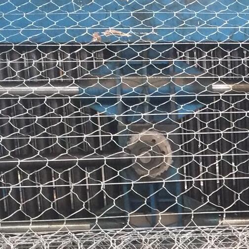 ����·��ӽ�W(w��ng)�S��